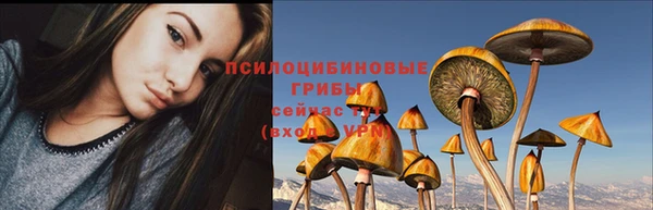 тгк Алексин