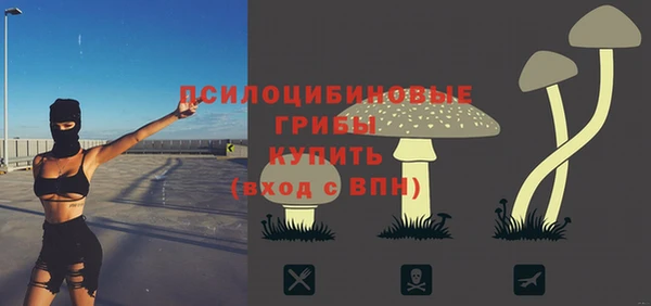 ECSTASY Алексеевка