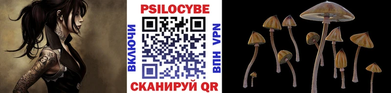 Псилоцибиновые грибы прущие грибы  мориарти Telegram  Буй 
