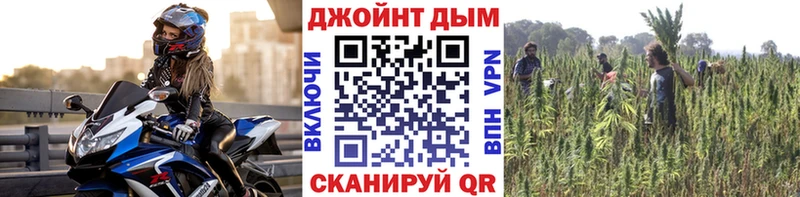 Марихуана OG Kush  закладка  ОМГ ОМГ вход  Буй 